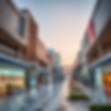 Magnificent Exploring the Merits and Complexities of Mirdif Avenue Mall Magnificent Exploring the Merits and Complexities of Mirdif Avenue Mall