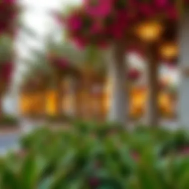 Magnificent Ixora Dubai: An In-Depth Examination of Dubai's Botanical Gem Magnificent Ixora Dubai: An In-Depth Examination of Dubai's Botanical Gem