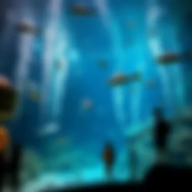 The stunning Dubai Aquarium located within Dubai Mall, featuring marine life