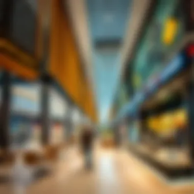 Entertainment Experiences at City Centre Mirdif Entertainment facilities in City Centre Mirdif