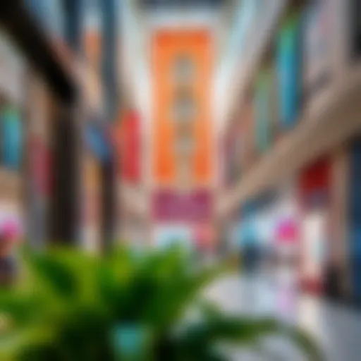 Vibrant retail spaces in City Centre Mirdif
