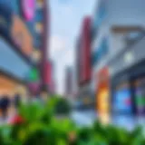 Comprehensive Guide to Shops in Dubai Festival City Introduction