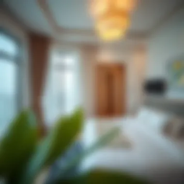 Affordable rental pricing for studio apartments