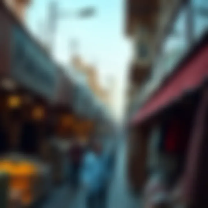 Exploring the Bazaars of Dubai: A Cultural and Economic Insight Summary