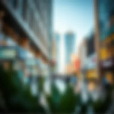 Commercial Spaces in الفيستيفال سيITY Vibrant commercial spaces within الفيستيفال سيتي bustling with activity
