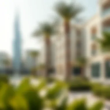 Residential Amenities in الفيستيفال سيITY Luxurious residential landscapes and amenities in الفيستيفال سيتي