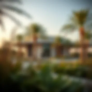 Exploring the Features and Significance of Al Bateen Park Introduction Exploring the Features and Significance of Al Bateen Park Introduction