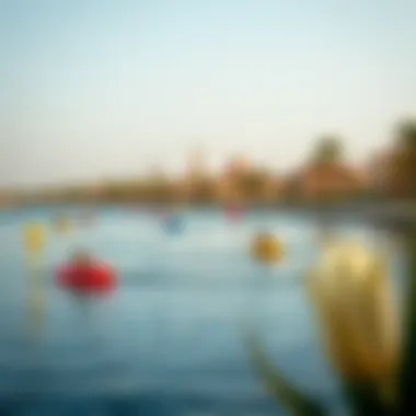 Recreational activities at a lake in Dubai