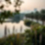 A serene lake surrounded by lush greenery in Dubai
