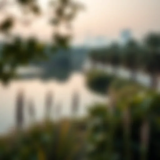 A serene lake surrounded by lush greenery in Dubai