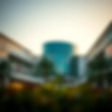 Exploring the Merits and Complexities of Mirdif Avenue Mall Introduction Exploring the Merits and Complexities of Mirdif Avenue Mall Introduction
