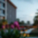 Ixora Dubai: An In-Depth Examination of Dubai's Botanical Gem Introduction