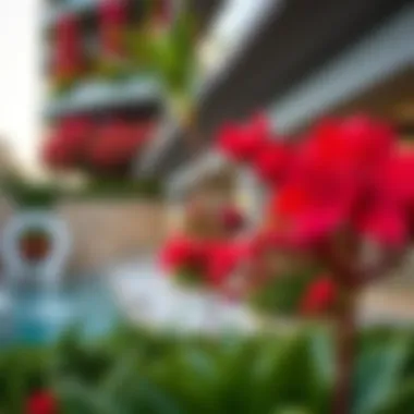 Ixora Dubai: An In-Depth Examination of Dubai's Botanical Gem Summary Ixora Dubai: An In-Depth Examination of Dubai's Botanical Gem Summary