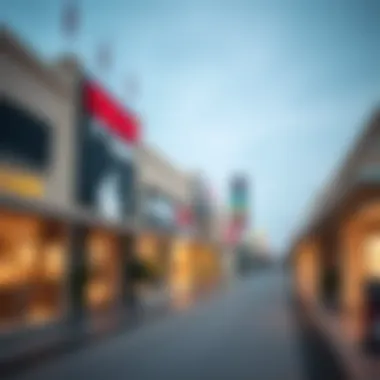 Navigating the Al Quoz Rental Market: Opportunities for Retail Spaces Summary Navigating the Al Quoz Rental Market: Opportunities for Retail Spaces Summary